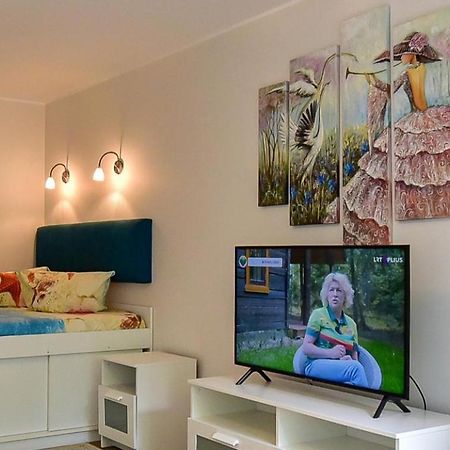 Stilingi Apartamentai Su Virtuve Traku Miesto Centre Trakai Buitenkant foto