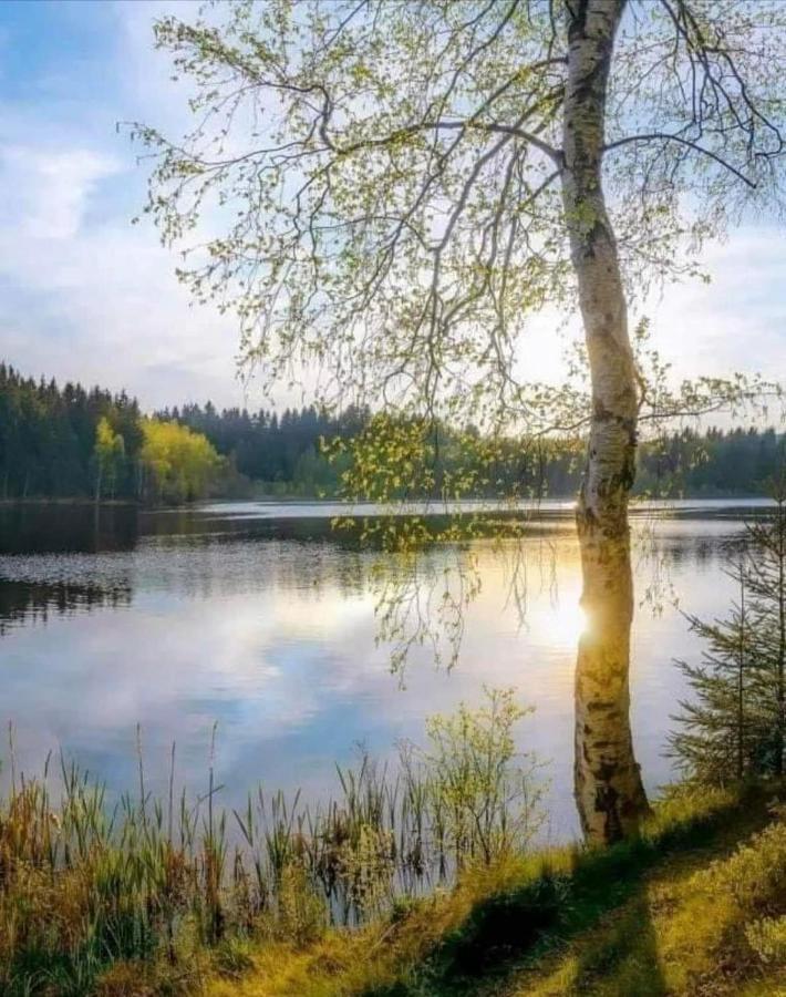 Stilingi Apartamentai Su Virtuve Traku Miesto Centre Trakai Buitenkant foto