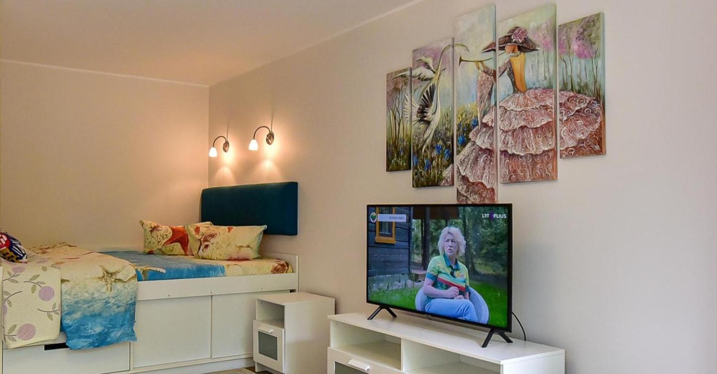 Stilingi Apartamentai Su Virtuve Traku Miesto Centre Trakai Buitenkant foto