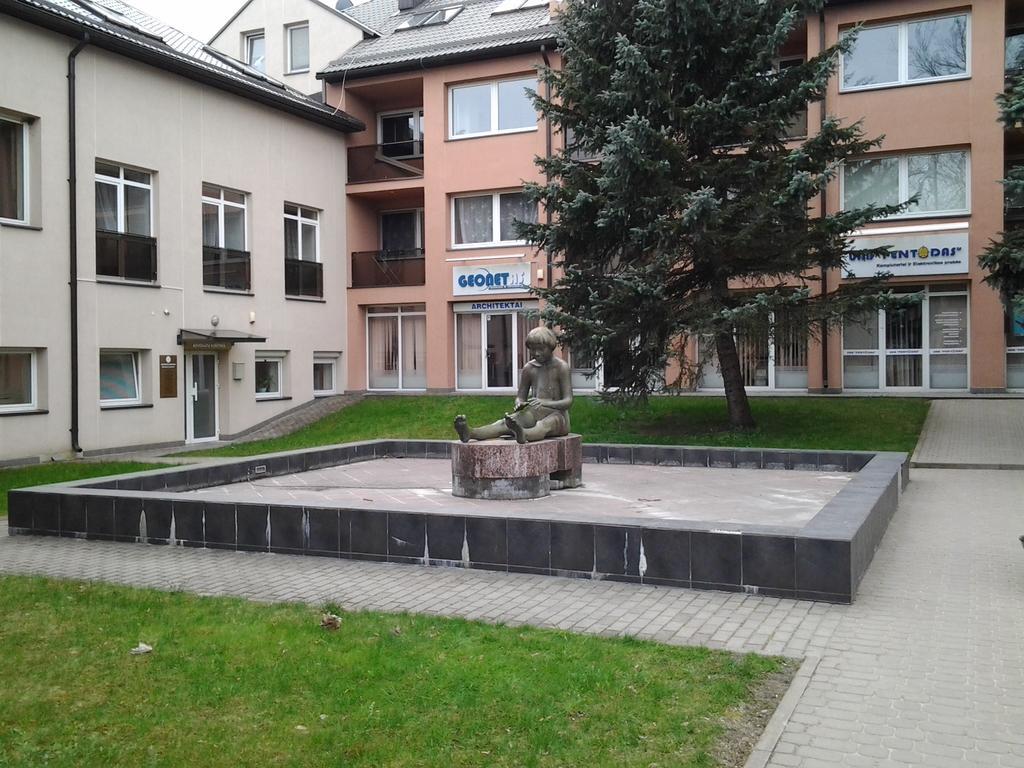 Stilingi Apartamentai Su Virtuve Traku Miesto Centre Trakai Buitenkant foto