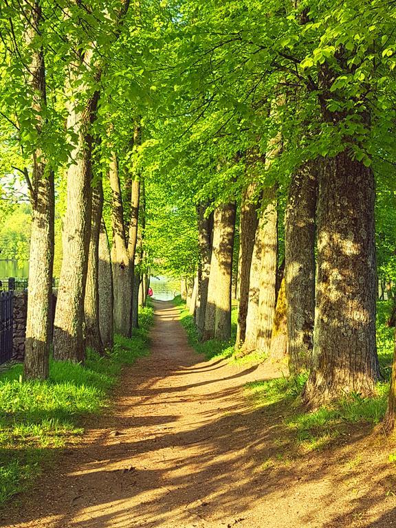 Stilingi Apartamentai Su Virtuve Traku Miesto Centre Trakai Buitenkant foto