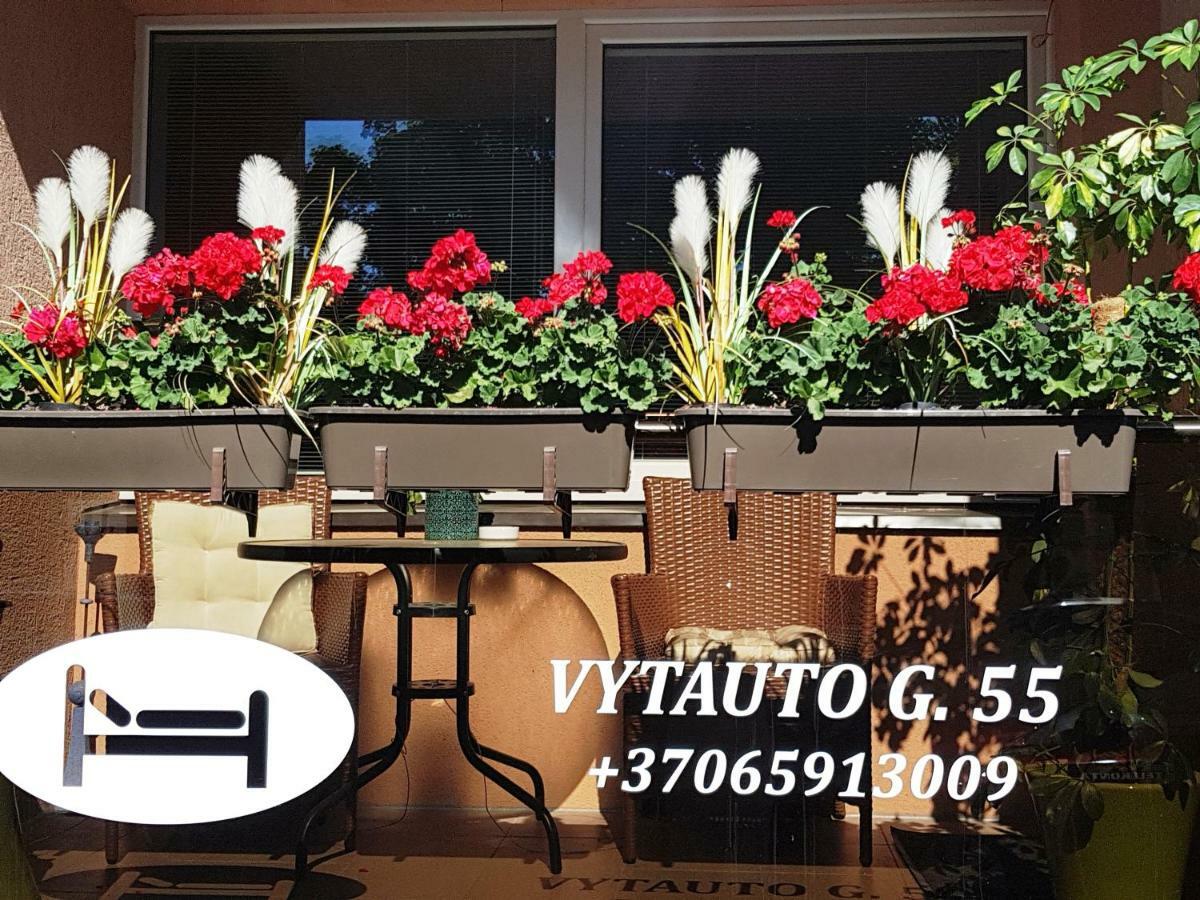Stilingi Apartamentai Su Virtuve Traku Miesto Centre Trakai Buitenkant foto