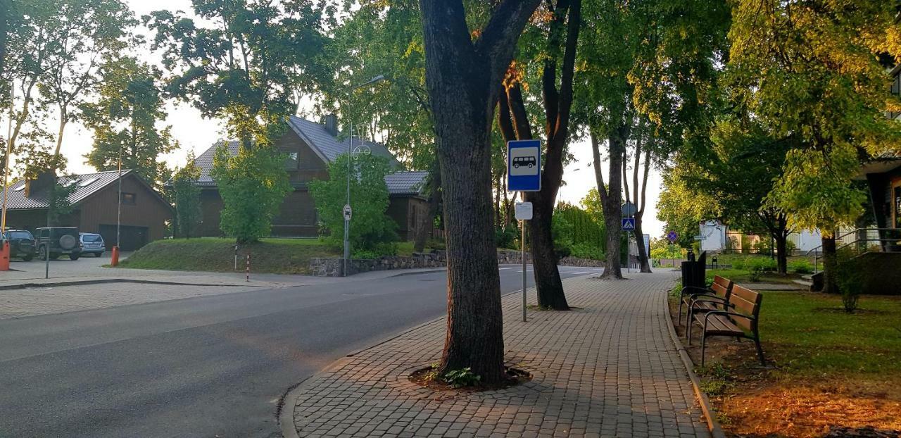 Stilingi Apartamentai Su Virtuve Traku Miesto Centre Trakai Buitenkant foto